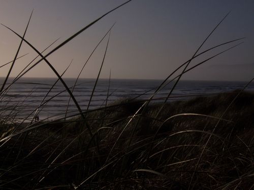 Ocean Beach (palo-alto_100_8630.jpg) wird geladen. Eindrucksvolle Fotos von der Westküste Amerikas erwarten Sie.